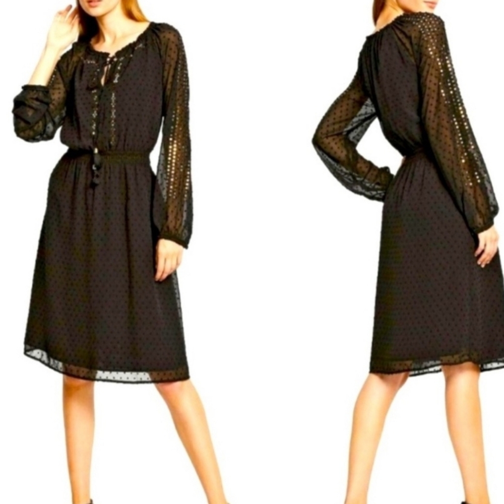 🆕️ 🖤Altuzarra x Target🖤 - 2014 Ltd. Ed. Sequined Swiss Dot Chiffon Dress